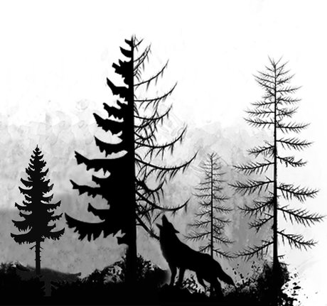 Manuel  nude leaked OnlyFans photo