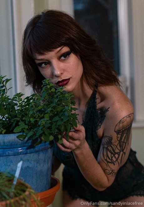 Sandyinlacefree