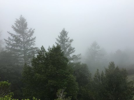 Dan  nude leaked OnlyFans photo