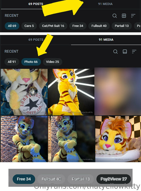 Thatyellowkitty