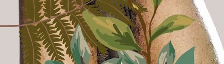 Safe9s Private Videos