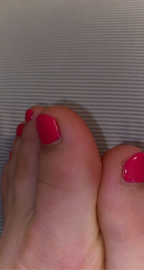 Piggies On The Market