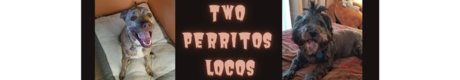 Twoperritoslocos