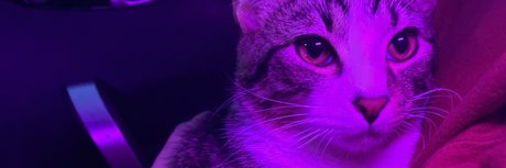 Fawad  Khan  nude leaked OnlyFans photo