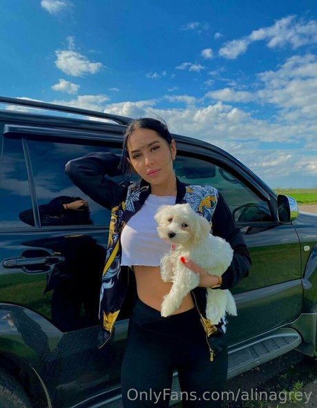 Alinagrey