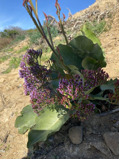 Fun Fun  nude leaked OnlyFans photo