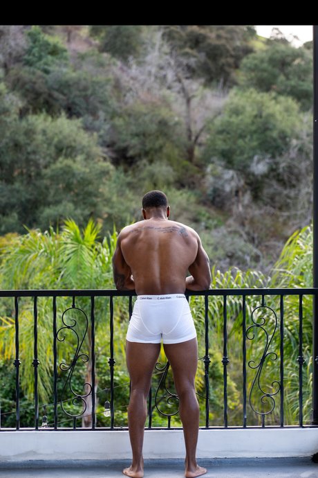 C Ampamp The Cocoa Factory