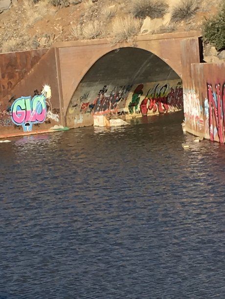 Bill  nude leaked OnlyFans photo