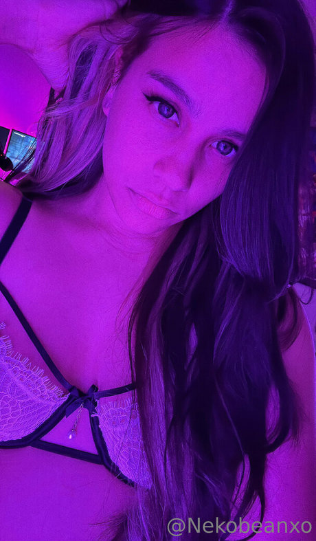 Nekobeanbb