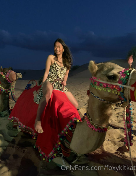 Foxykitkat