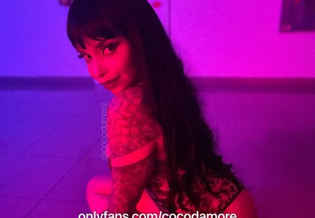 Cocodamore