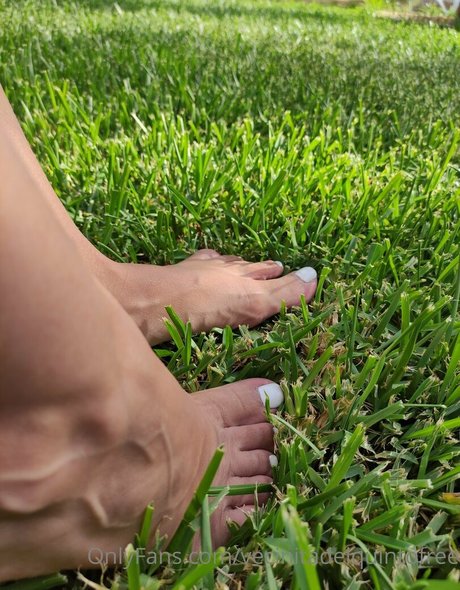 Vecinitadelquintofree