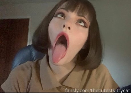 Thecutestkittycat