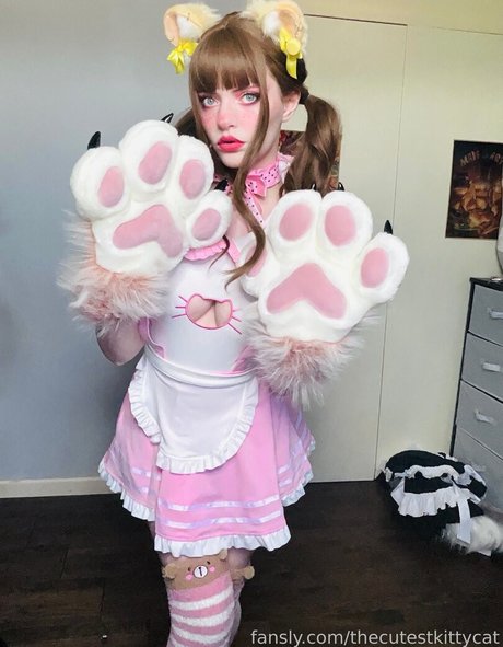 Thecutestkittycat