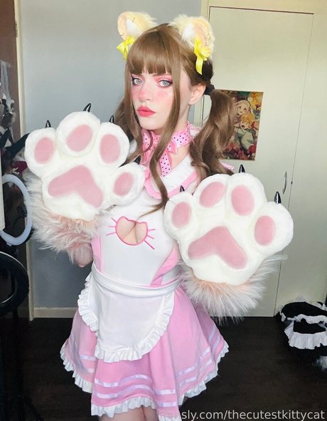 Thecutestkittycat