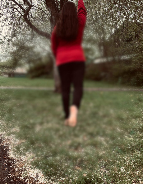 Ravenclawslostdiadem