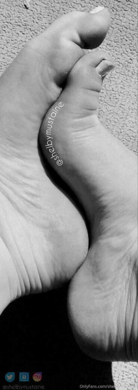 Shelbymustaine