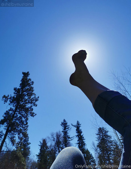 Shelbymustaine