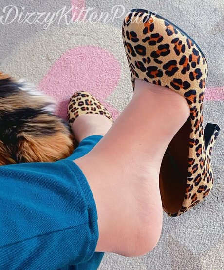 Dizzykittenpaws