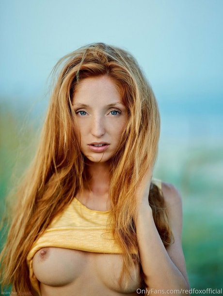 Red Fox