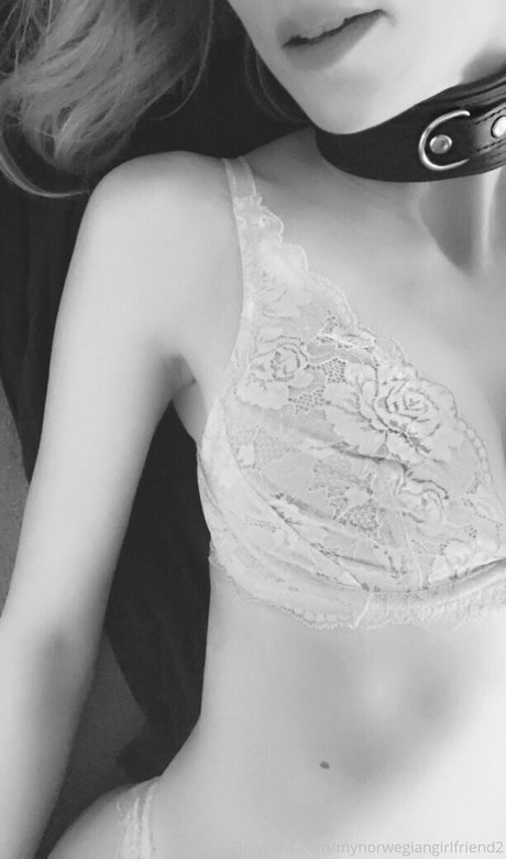 Mynorwegiangirlfriend2