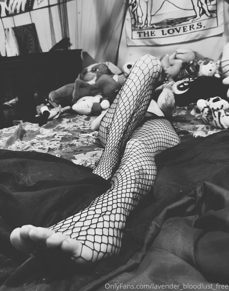 Lavenderbloodlustfree