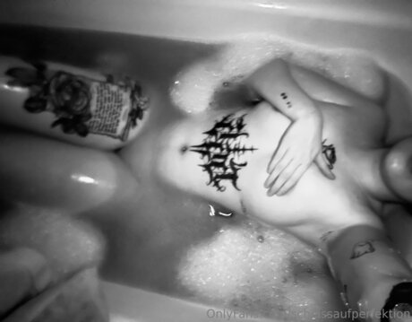 Scheissaufperfektion