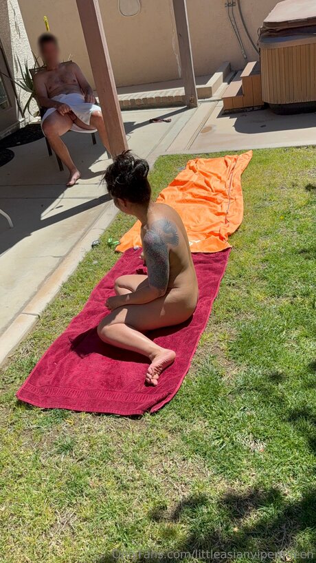 Littleasianviperqueen