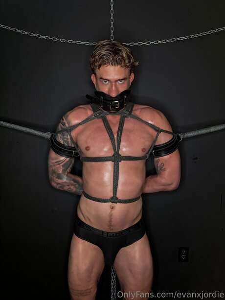 Evanxjordie