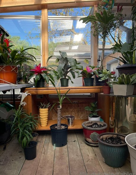 Judythegreatfreepage