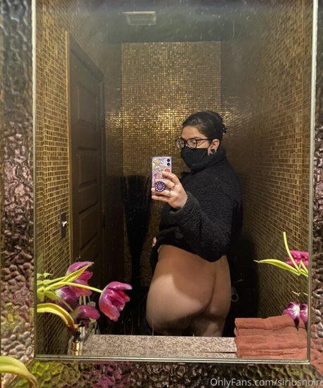 Sirius Noire Winchester