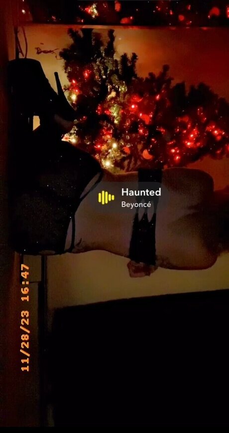 Nyxexotics  nude leaked OnlyFans photo