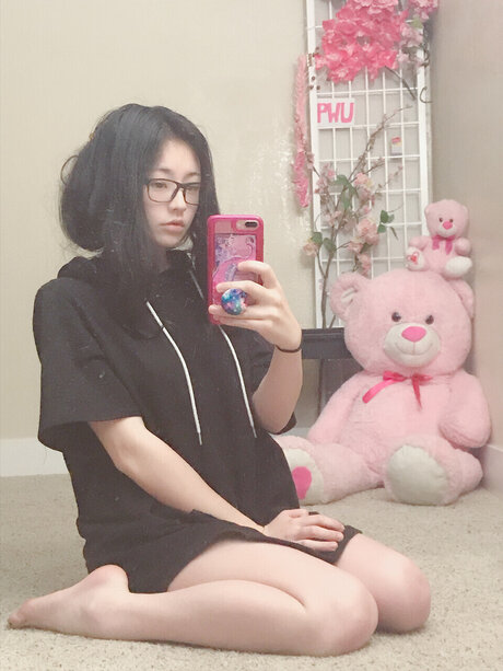 Portablesnaccmachine