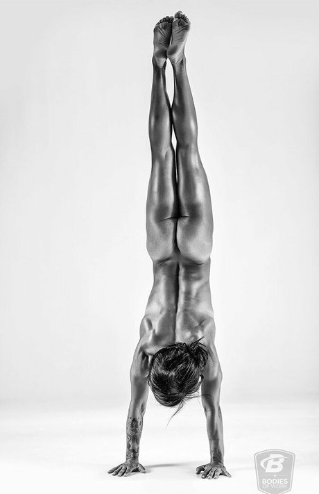 Bodybuildingcoms Bodieswork