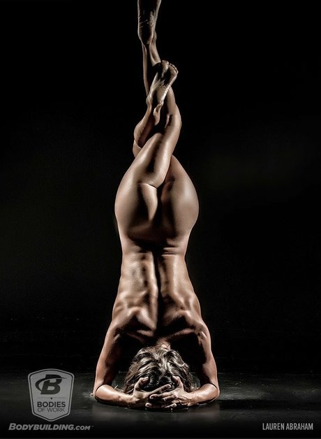 Bodybuildingcoms Bodieswork