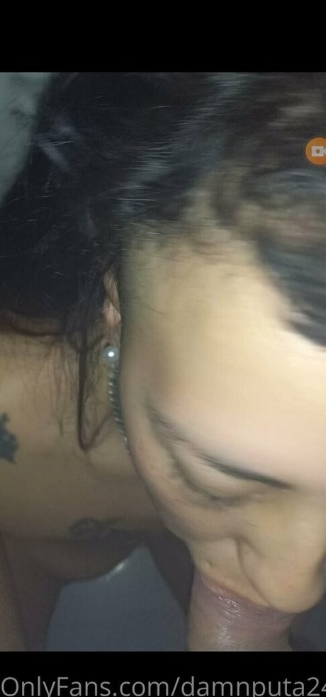 Damnputa24