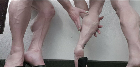 Laceysmuscularcalves