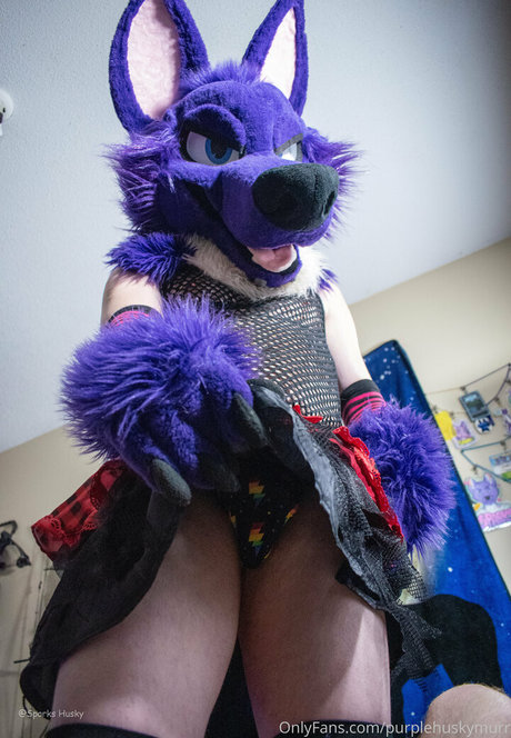 Purplehuskymurr
