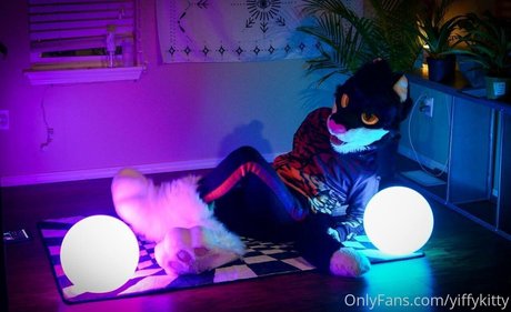 Yiffykitty