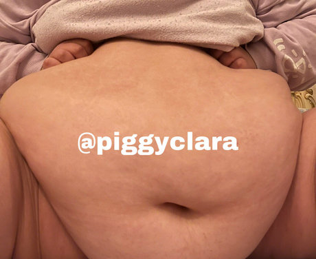 Piggyclara