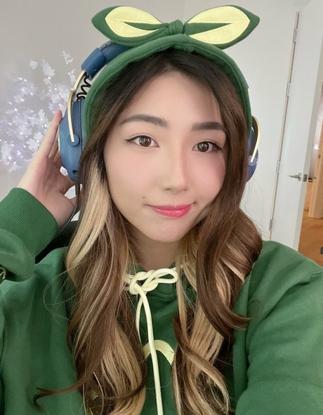 Xchocobars