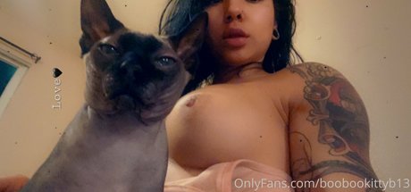 Boobookittyb13