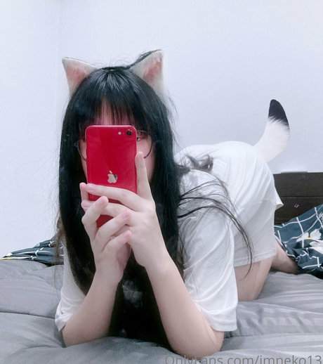 Imneko13