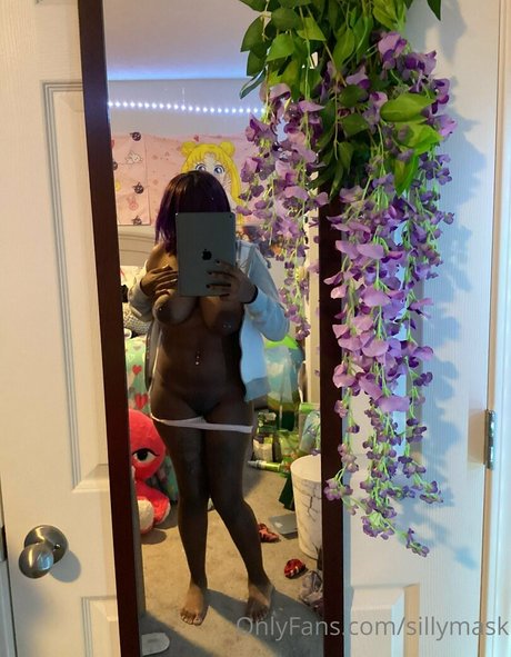 Sillymask