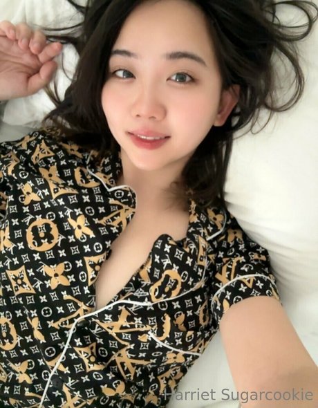 Harrietsugarcookie