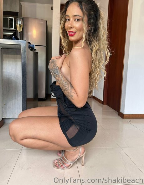 Shakibeach