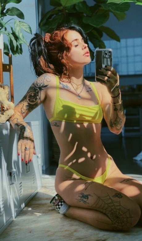 Craysounds