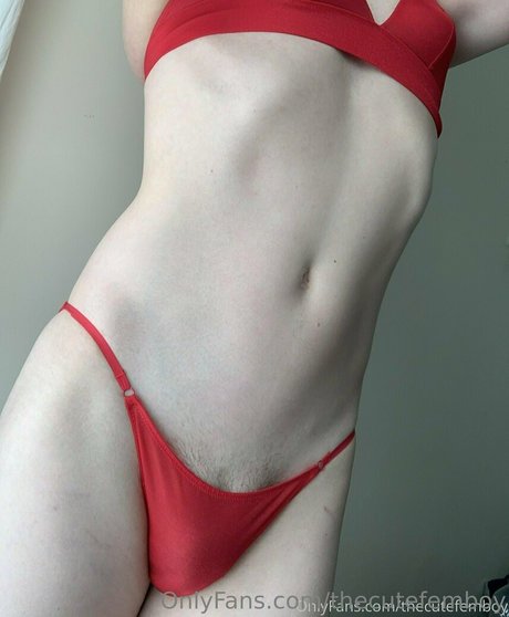 Thecutefemboy