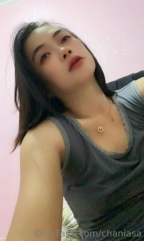 Chaniasa