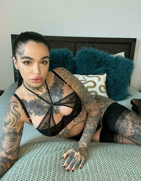 Leighravenx